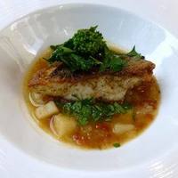 オッティモ・シーフード・ガーデン 新宿店 - 本日のお魚料理