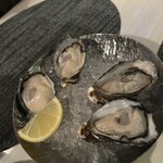 OysterBar OISSU