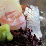 零 - メジナ、〆鯖アップ