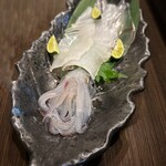 墨や - 泳ぎケンサキイカ