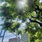じんぼ - 