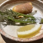 Kochi Izariya - 