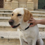 Pasticceria Maria Grammatico - 