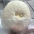 労研饅頭たけうち - 料理写真: