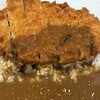 カレーハウススパイシー アポロ店