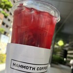 マンモスコーヒー - 