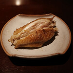 BIRD - 