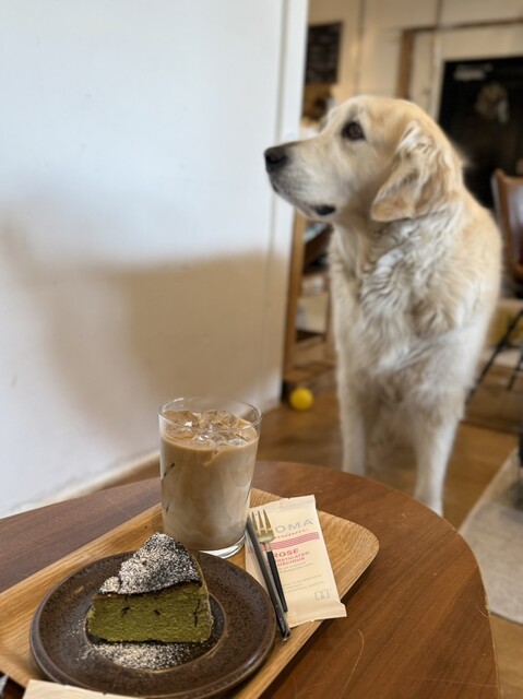 212Coffee - 深江橋/カフェ | 食べログ