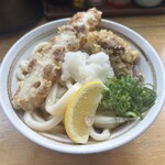 Udon Sanka