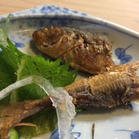 よし梅 人形町本店 - 