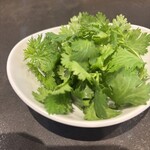 麺処ゆずラボ。 - 単品パクチー。