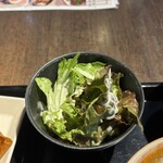 春巻きとよだれ鶏 酔いしば - 