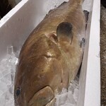 割烹 辻井 - 