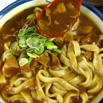 讃岐きしめん大吉 - 名物カレー讃岐きしめん大盛､545円。