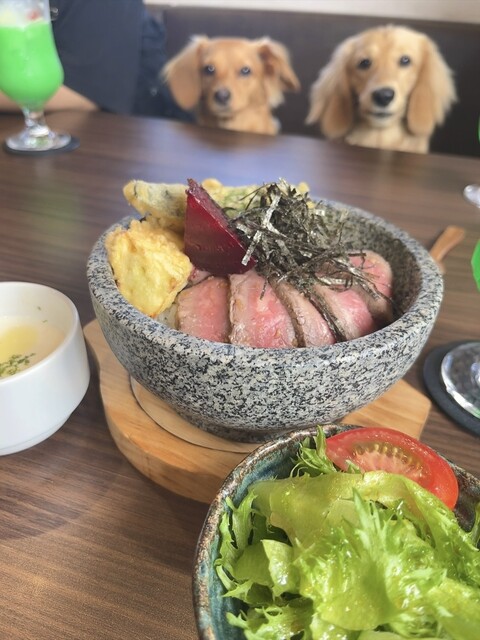 バービーハウス！郡山周辺で カフェビーダッシュ （B'）のご予約 - 郡山市その他/カフェ | 食べログ