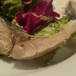 ラ・トォルトゥーガ - 肉厚で上品な鯖の酸味に、マスタードが合う！