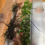 九州屋 - 