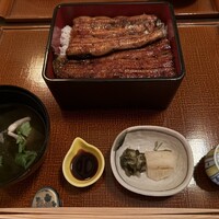 日本料理 芝桜 - 