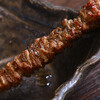 BAR & smoke food 燻製焼鳥 燻くんどり鳥