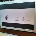 昭和屋 そば琳 - 店内には写真が飾られてます。