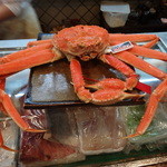 寿司栄 - 松葉蟹