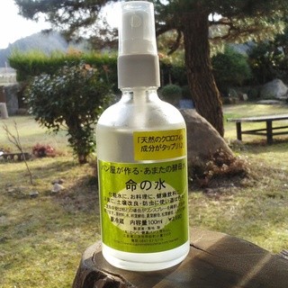 健康パン工房わらし_0