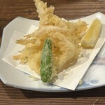 魚猫 - 