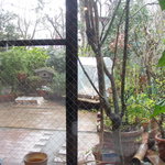 みどりの屋根INUUNIQ - テラス席を室内から