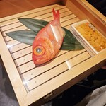 킨메다이노 사토우