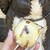 田島屋 - 料理写真: