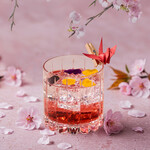 Plum Soda