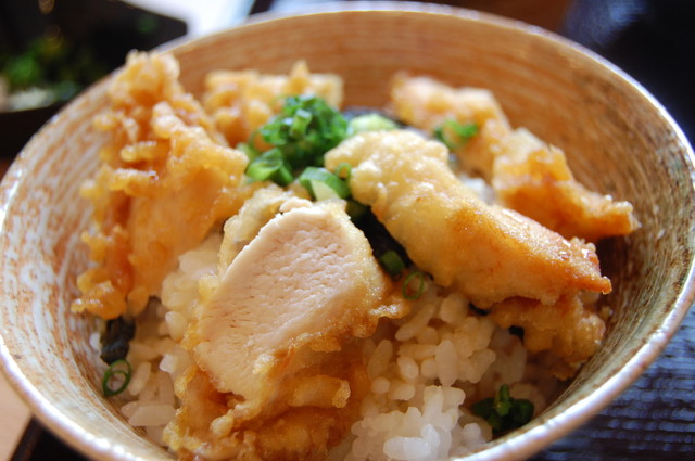 Butsu no Udon, Utsunomiya, Japan