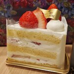 PATISSERIE TOOTH TOOTH - 