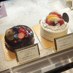 PATISSERIE TOOTH TOOTH - 