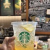 スターバックスコーヒー - 