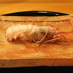 と村 - 赤座海老　(2015/01)