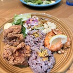 hale'aina HOA - 