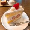 メフィストフェレス - 
