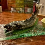 三茶 ユキツバキ - 