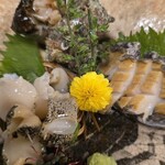 割烹 魚きく - 