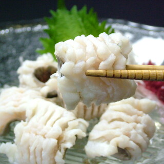 浅草 魚料理 遠州屋_0