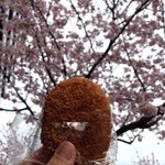 吉金精肉店 - コロッケ85円税込と満開の大寒桜