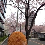 吉金精肉店 - 満開の大寒桜の並木道で食べ歩き