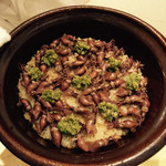 日本料理 太月 - 蛍烏賊と蕗の薹の炊き込みご飯　春爛漫　2015-3