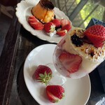noqoo - 