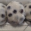 出町ふたば - 豆餅3個入り
