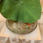 日本料理 みや  - 先付