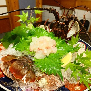 網元_1
