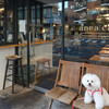 anea cafe - では、一枚〜♬