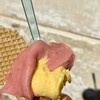 Elisa - 料理写真: